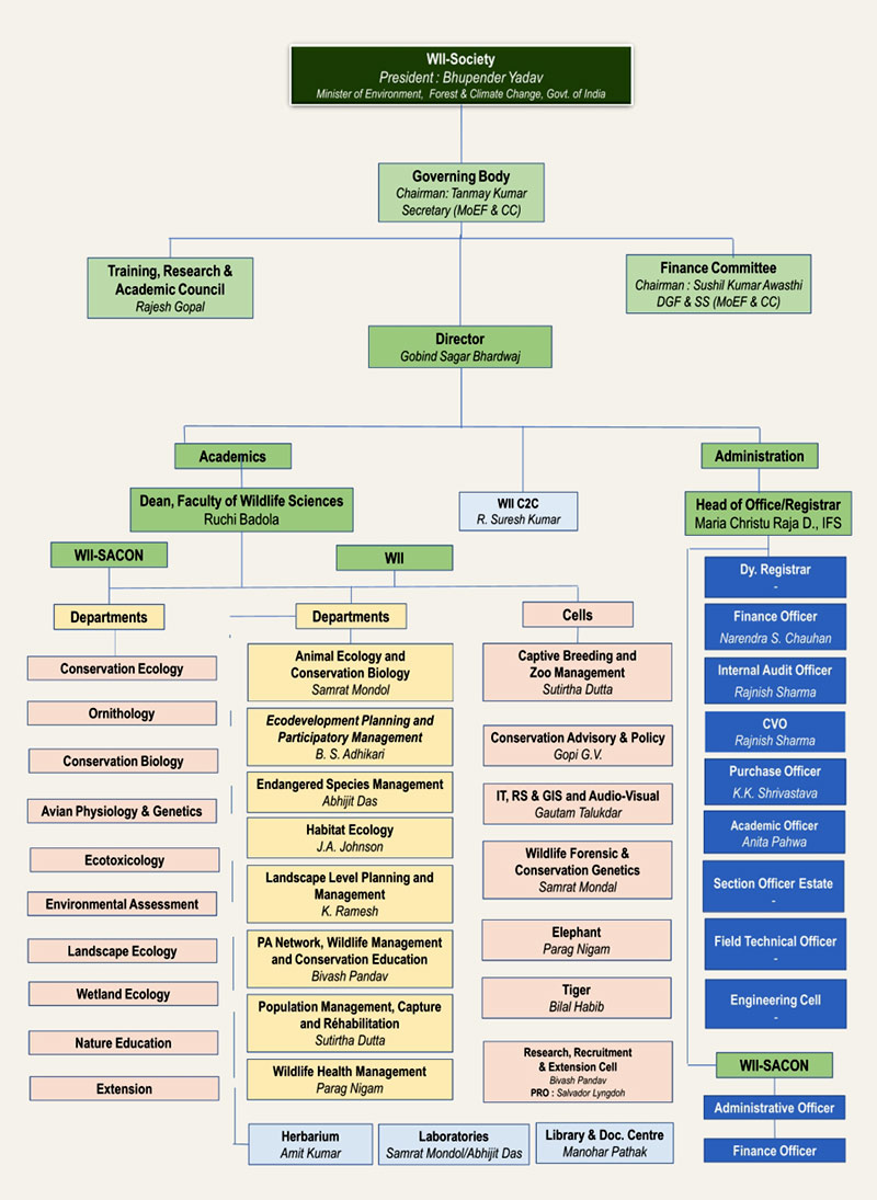 Organisation Chart