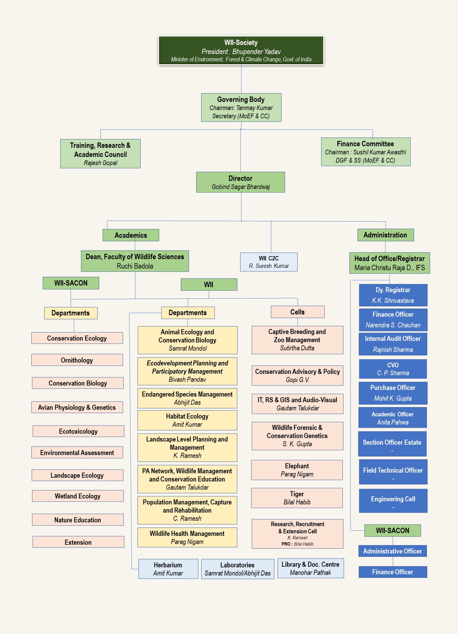Wii Organisation Chart