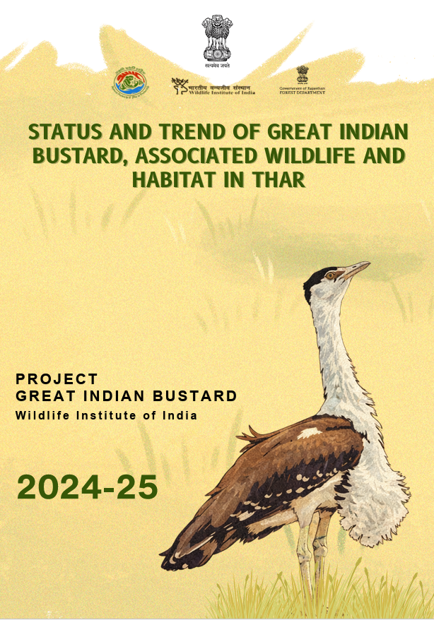 Cover page of STATUS AND TREND OF GREAT INDIAN BUSTARD, ASSOCIATED WILDLIFE AND HABITAT IN THAR GIB 2024 - 25report