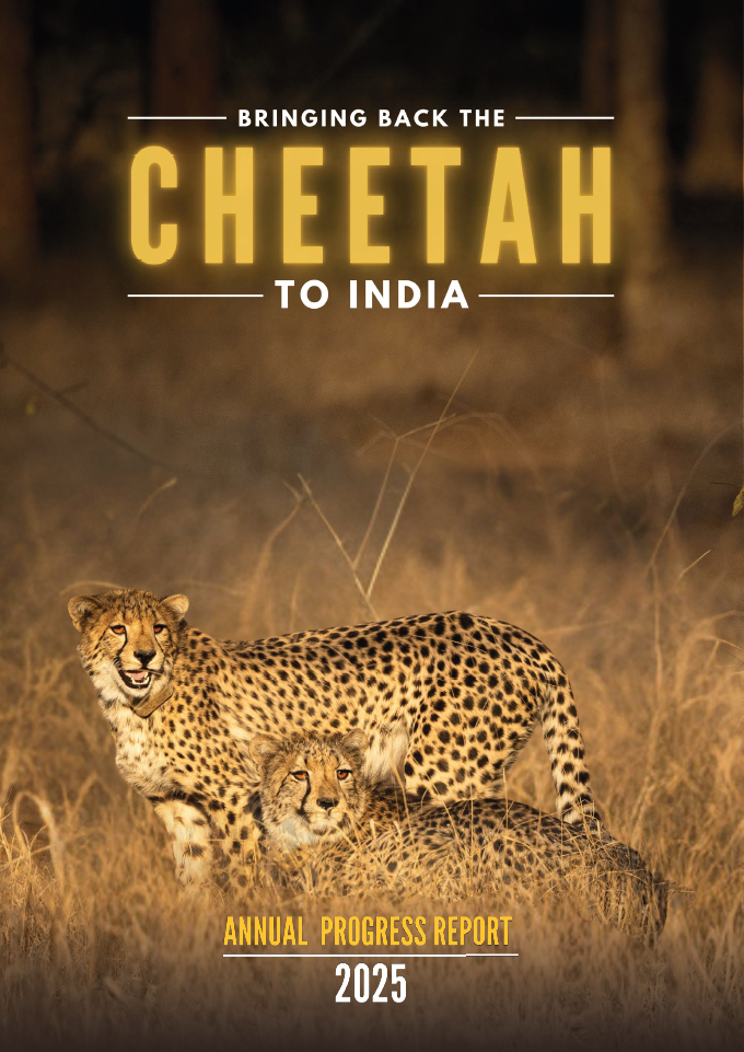 Cover page of Bringing Back The Cheetah to India, Annual Progress Report 2024-25
