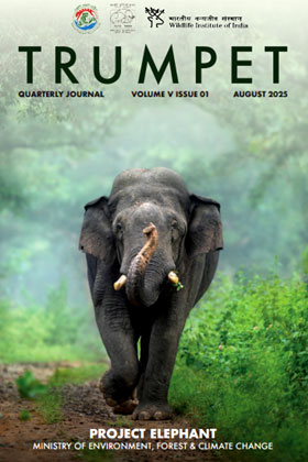 Cover page of 	 	Trumpet - Quarterly Journal - Volume - 5, Issue - 1, August - 2025
