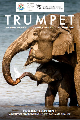 Cover page of Trumpet - Quarterly Journal - Volume - 5, Issue - 2, December - 2025