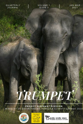 Cover page of Trumpet – Quarterly Journal – Volume – 1, Issue – 3, January – March 2021