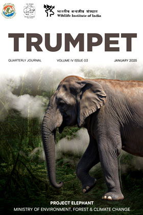 Cover page of Trumpet Quarterly Journal  Volume - 4, Issue - 3, January - 2025