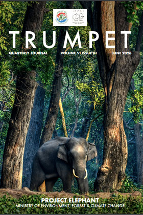 Cover page of Trumpet Quarterly Journal Volume 6 Issue - 1 June - 2026