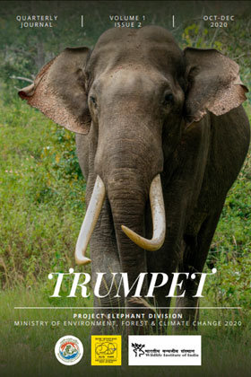 Cover page of Trumpet – Quarterly Journal – Volume – 1, Issue – 2, October – December 2020  