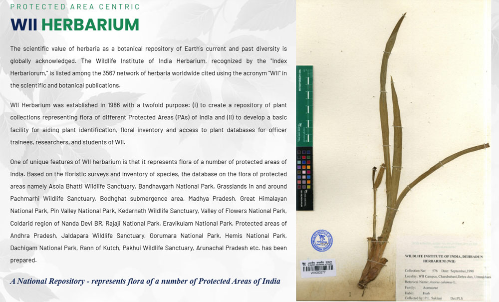 Protected Area Centric Wii Herbarium
