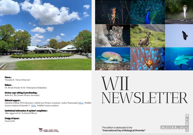 E-Newsletter - Spring 2024