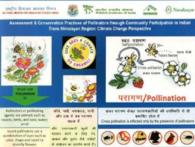 परागण, परागणकारियो के प्रकार  एवम  परागणकों का संरक्षण