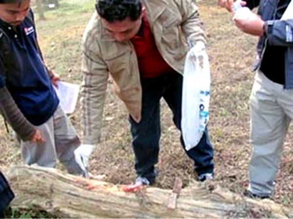 Mock-drill exercise on the collection of evidence from an artificial crime scene