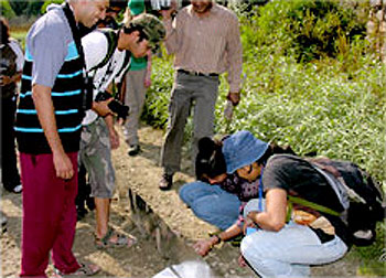 Wildlife Policy Research and International Convention