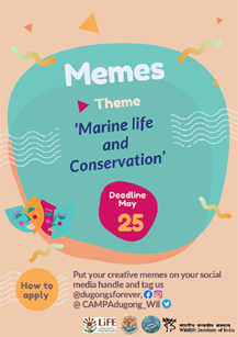 World Dugong Day 2023 Competition