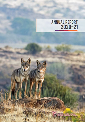 Annual Report
