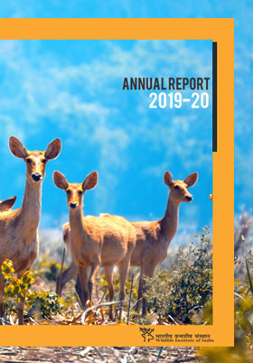 Annual Report