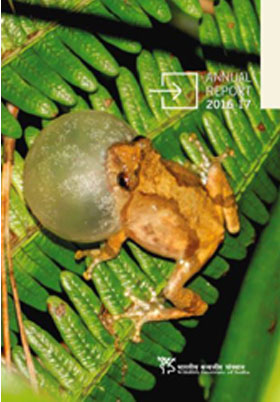 Annual Report