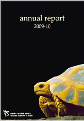 Annual Report