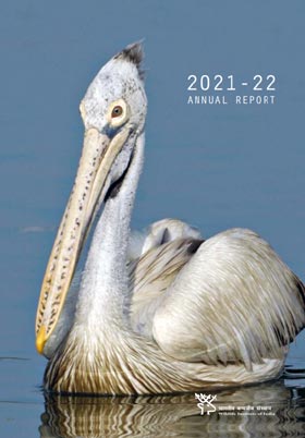 Annual Report