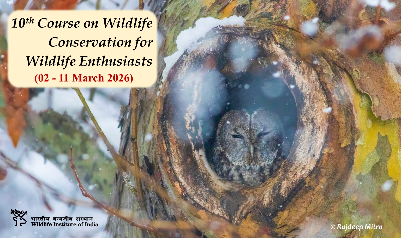 10th course on Wildlife Conservation for Wildlife Enthusiasts (2-11 March, 2026)