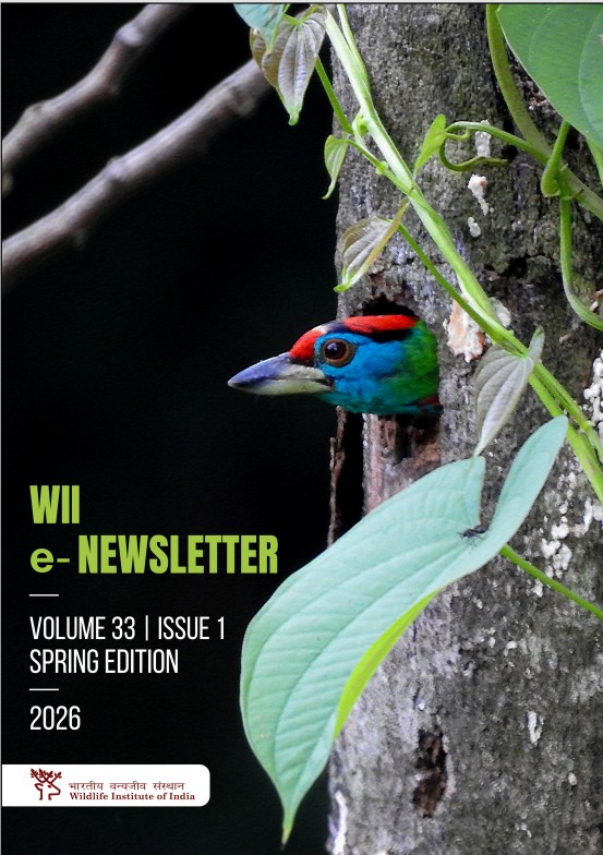 Cover Image of WII e-Newsletter Volume 33, Issue I, Spring Edition 2026
