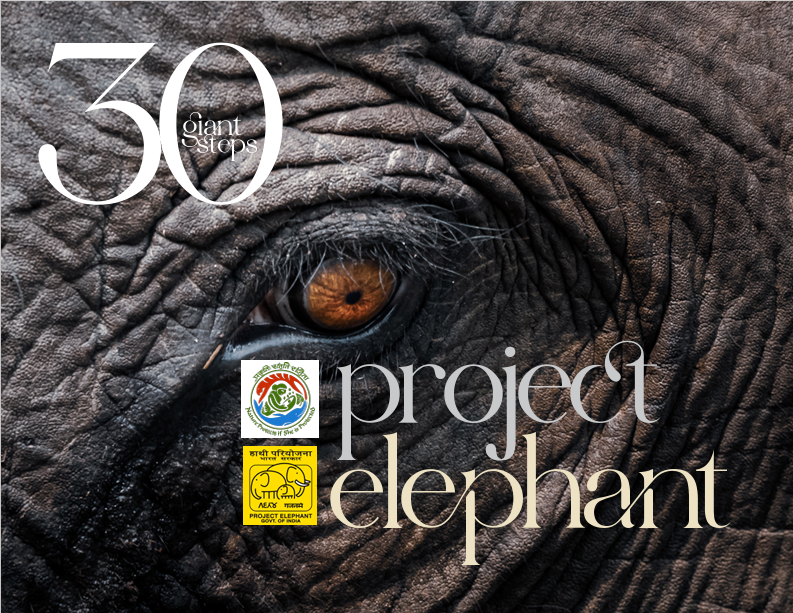 Cover Image of 30 Giant steps of Project Elephant