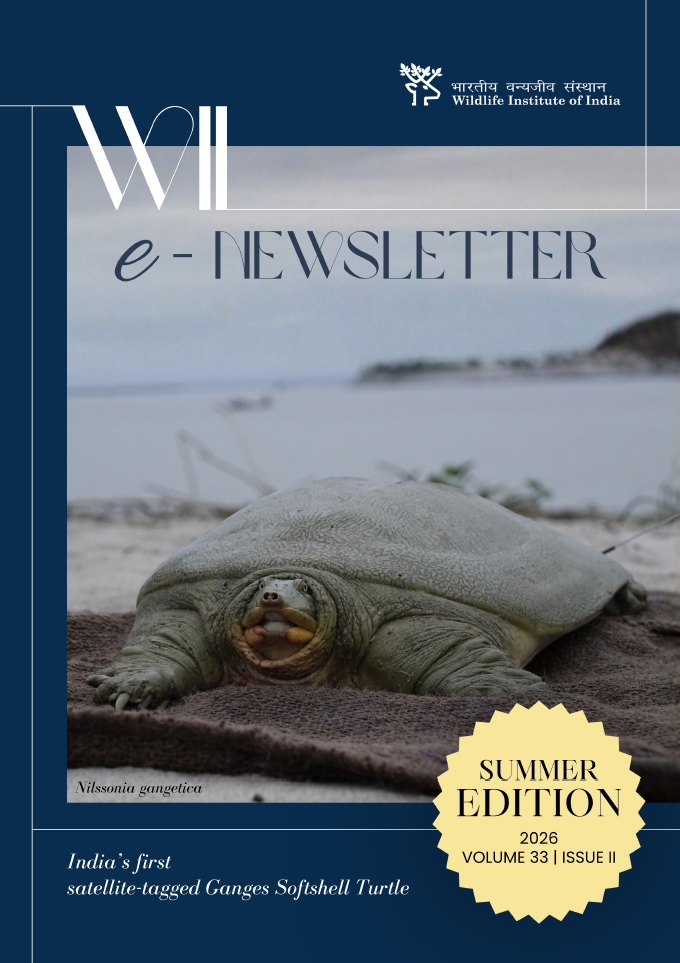 Cover Image of WII e-Newsletter Summer Edition 2026